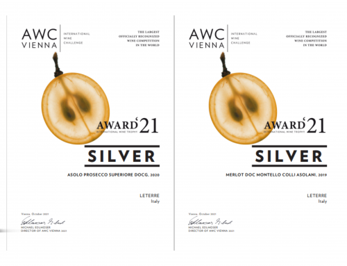 SILVER MEDAL – AWC VIENNA 2021